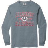 Scary Badgers Heavyweight Ring Spun Long Sleeve Tee