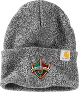 Delaware Ducks Carhartt Watch Cap 2.0