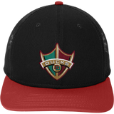 Delaware Ducks New Era Snapback Low Profile Trucker Cap