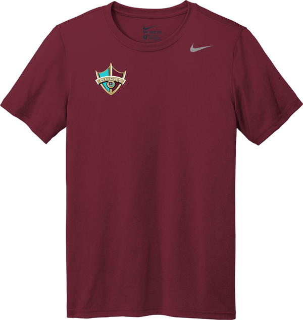 Delaware Ducks Nike Team rLegend Tee