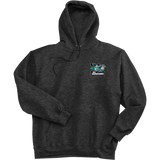 Boca Barracudas Ultimate Cotton - Pullover Hooded Sweatshirt