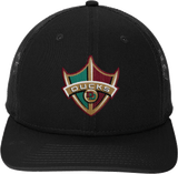 Delaware Ducks New Era Snapback Low Profile Trucker Cap